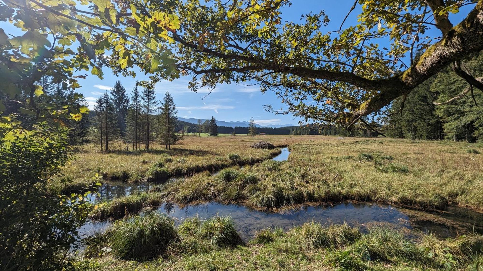 Liboria I Traumhafte Ferienwohnung In Aidling Am Riegsee Mit Atemberaubendem Panoramablick! エクステリア 写真